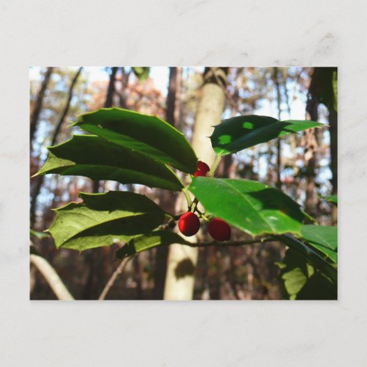 ホリ葉ーIホリデーボタニカル シーズンポストカード (正面)