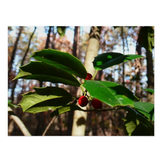 ホリ葉ーIホリデーボタニカル ポスター (正面)