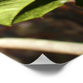 ホリ葉ーIホリデーボタニカル ポスター (角)