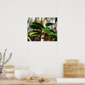 ホリ葉ーIホリデーボタニカル ポスター (キッチン)