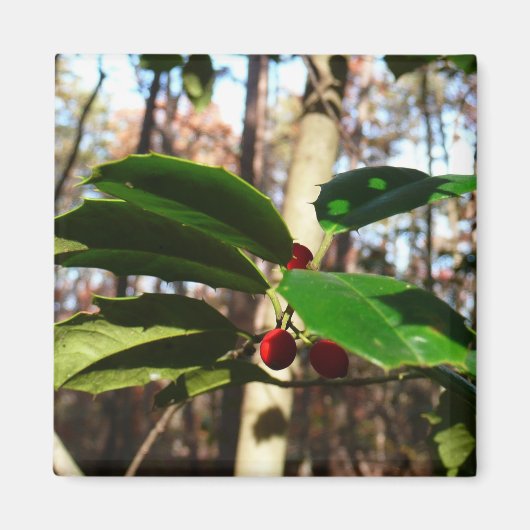 ホリ葉ーIホリデーボタニカル マグネット (正面)