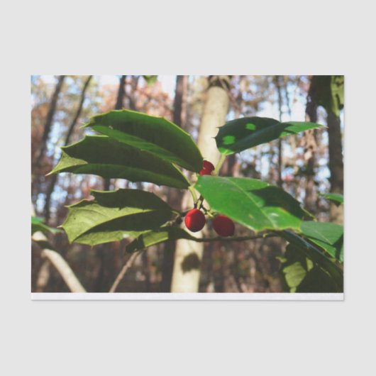 ホリ葉ーIホリデーボタニカル 薄葉紙 (正面)