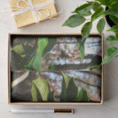 ホリ葉ーIホリデーボタニカル 薄葉紙 (ギフト)