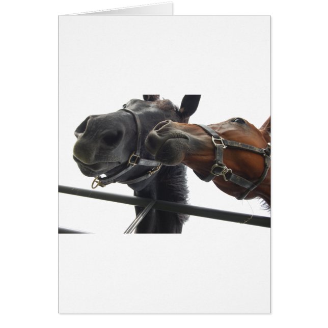 ホルシのまわりにング (正面)