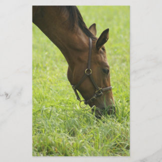 ホルシのまわりにング