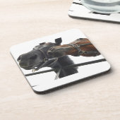 ホルシのまわりにング コースター (左側)