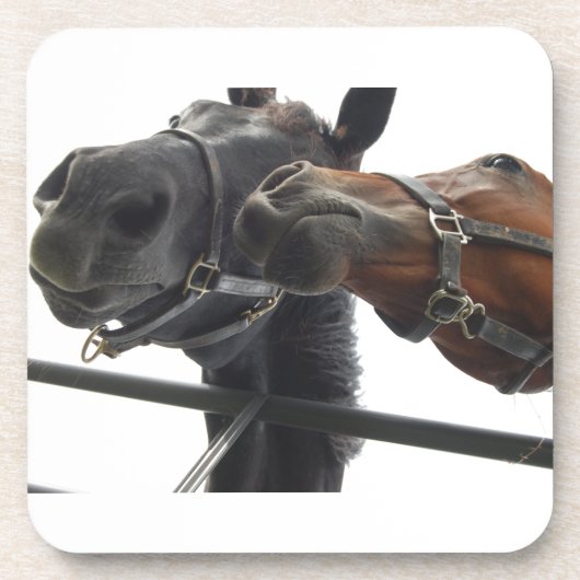 ホルシのまわりにング コースター (正面)