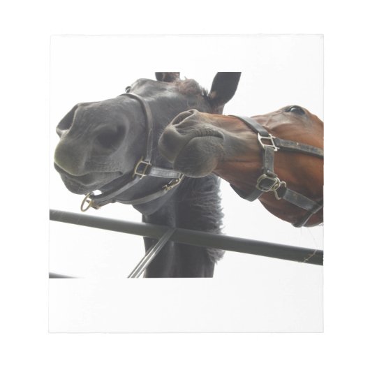 ホルシのまわりにング ノートパッド (正面)