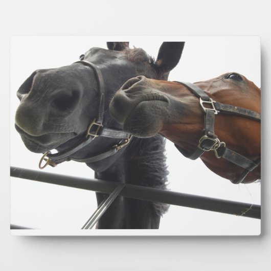 ホルシのまわりにング フォトプラーク (正面)