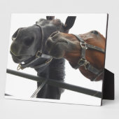 ホルシのまわりにング フォトプラーク (側面)