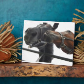 ホルシのまわりにング フォトプラーク (側面)