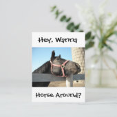 ホルシのまわりにング ポストカード (スタンド正面)