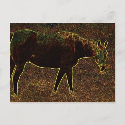 ホルシのまわりにング ポストカード (正面)