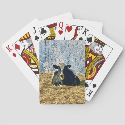 ホルスタインカーフ霜の降りたオンアルバータモーニング トランプ (裏面)