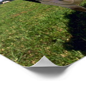 ホルスタイン乳牛 ポスター (角)