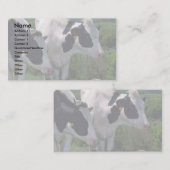 ホルスタイン乳牛 名刺 (正面/裏面)