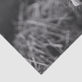 ホルスタイン牛の白黒の切り離し 薄葉紙 (詳細)