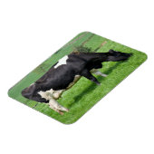 ホルスタイン牛磁石 マグネット (左側)