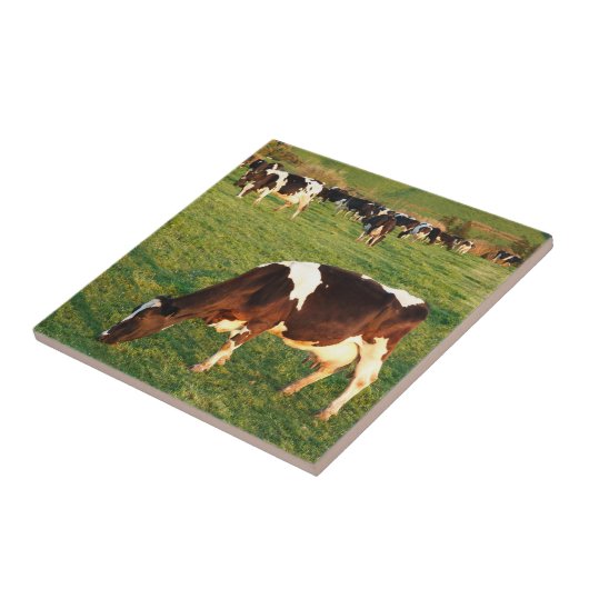 ホルスタイン牛 タイル (側面)