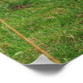 ホルスタイン牛 ポスター (角)