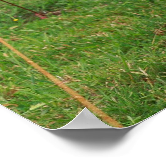 ホルスタイン牛 ポスター (角)