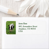 ホルスタイン牛 ラベル (インサイチュ)