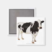 ホルスタイン牛 | Bos taurus マグネット (正面/裏面)