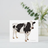 ホルスタイン種の牛 (Bos taurus) ポストカード (スタンド正面)