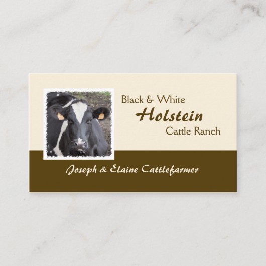ホルスタイン酪農場か肉牛の写真 名刺 (正面)