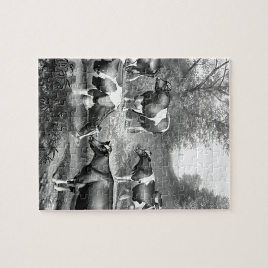 ホルスタイン・フレシアン・ウシ・フレシアン・ウシ ジグソーパズル (横)