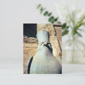 ホルス像 ポストカード (スタンド正面)