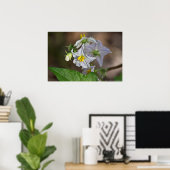 ホルセネトルの花と芽のワイルドフラワーのポスター ポスター (ホームオフィス)