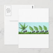 ホルミガスコロカダ ポストカード (正面/裏面)