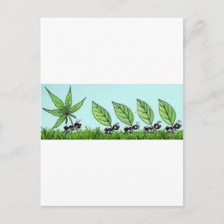 ホルミガスコロカダ ポストカード