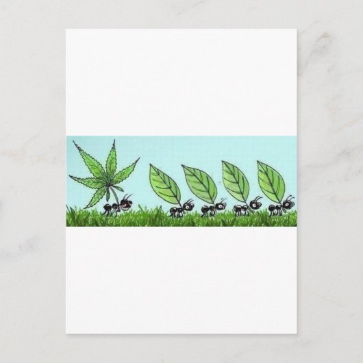 ホルミガスコロカダ ポストカード (正面)