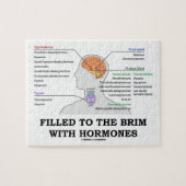 ホルモンの医学のユーモアで縁に満たされる ジグソーパズル (横)