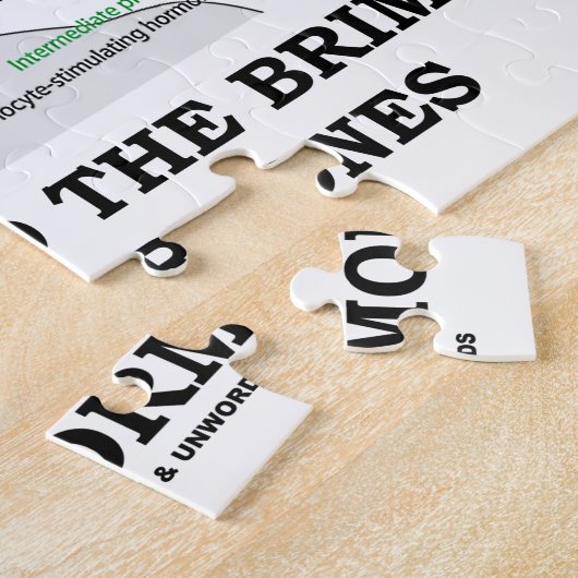 ホルモンの医学のユーモアで縁に満たされる ジグソーパズル (側面)