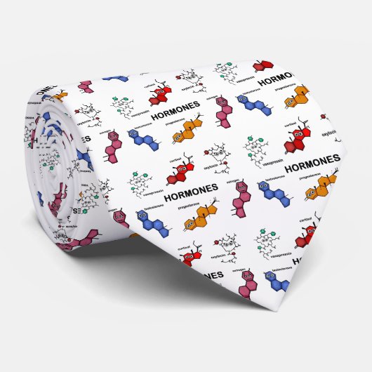 ホルモン ネクタイ (ロール)