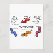 ホルモン ポストカード (正面)