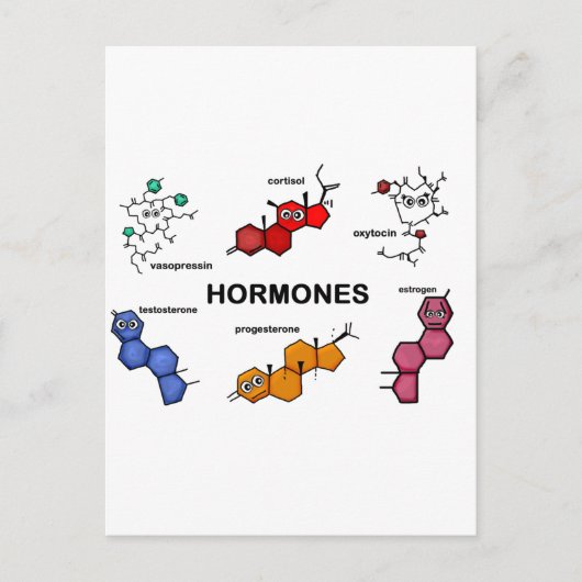 ホルモン ポストカード (正面)