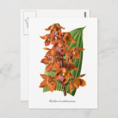 ホルレチア ポストカード (正面/裏面)