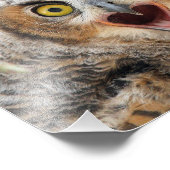 ホル素晴らしフクロウ フォトプリント            (角)