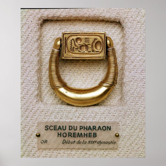 ホレンヘブ将軍の印を持つリングや輪 ポスター (正面)