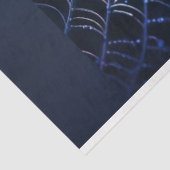 ホログラフィックダークスパイダーウェブハロウィーンデカップージ 薄葉紙 (詳細)