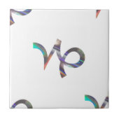 ホログラム山羊座 タイル (正面)