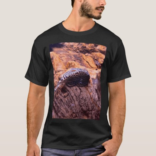 ホロストーンローチ Tシャツ (正面)