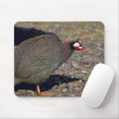 ホロホロ鳥 マウスパッド (マウス)