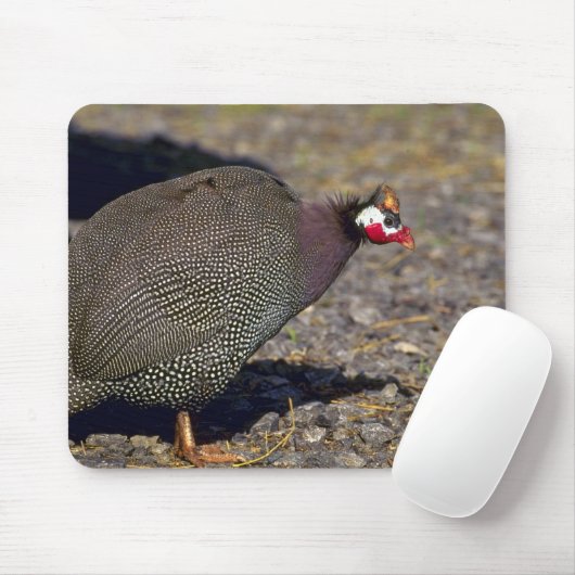 ホロホロ鳥 マウスパッド (マウス)