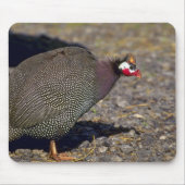 ホロホロ鳥 マウスパッド (正面)