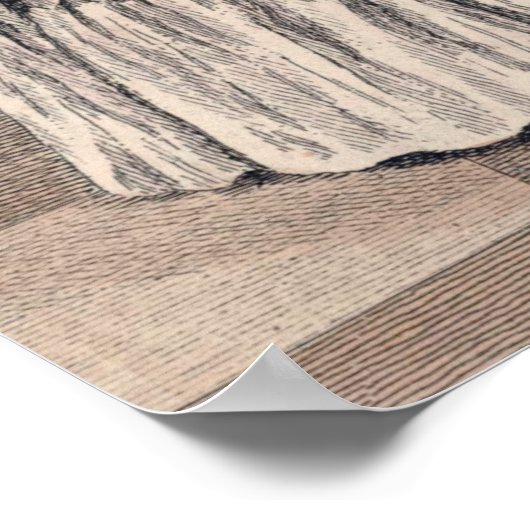 ホワかわいらしイトアンティークフランスのリージェンシーファッション ポスター (角)